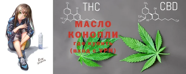 прущие грибы Абинск