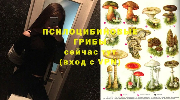 MDMA Протвино