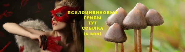 соль курить ск Приозерск