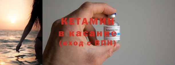 прущие грибы Абинск
