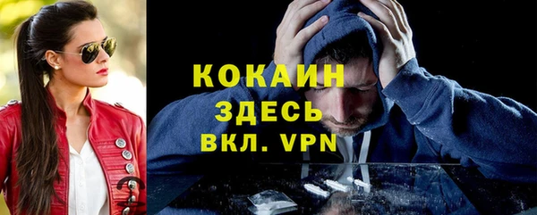 прущие грибы Абинск